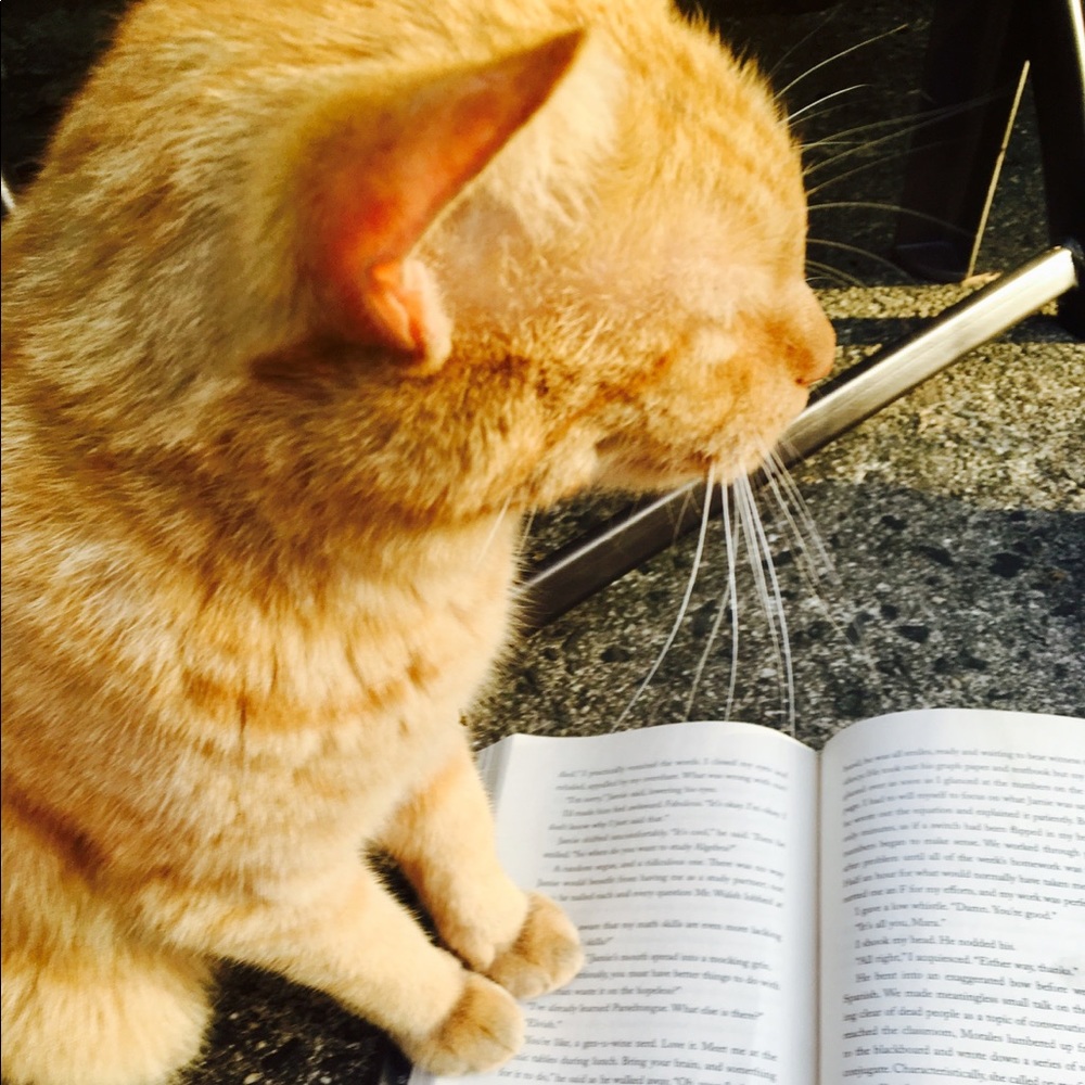Meet your Posher, Fiona